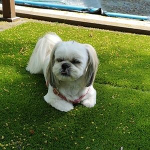 Meet your Posher, Connie